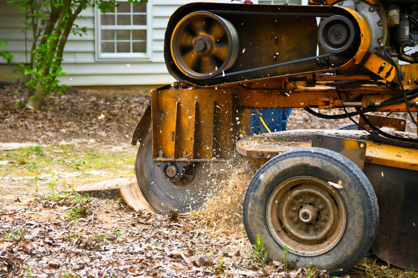 McDonald Expert Stump Grinding