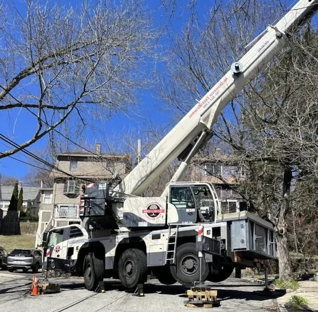 Mcdonald-Tree-Services