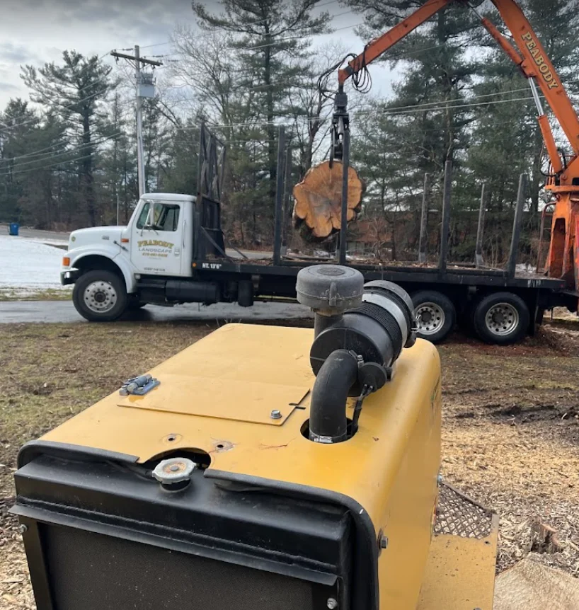 Professional-Lot-Clearing-Services at Mc Donald