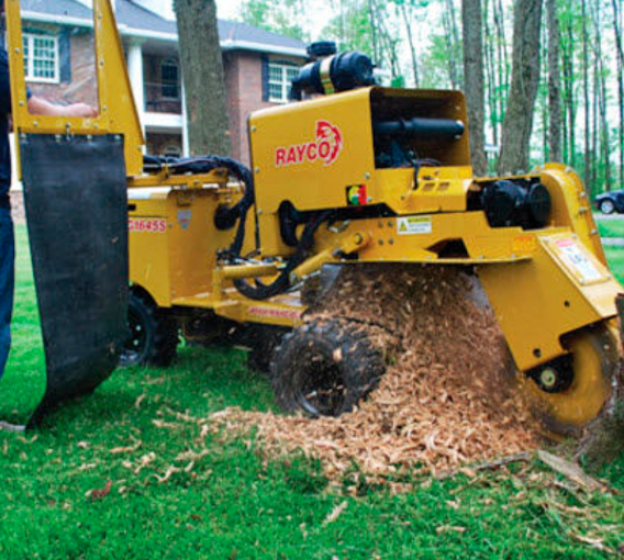 Professional Stump Grinding