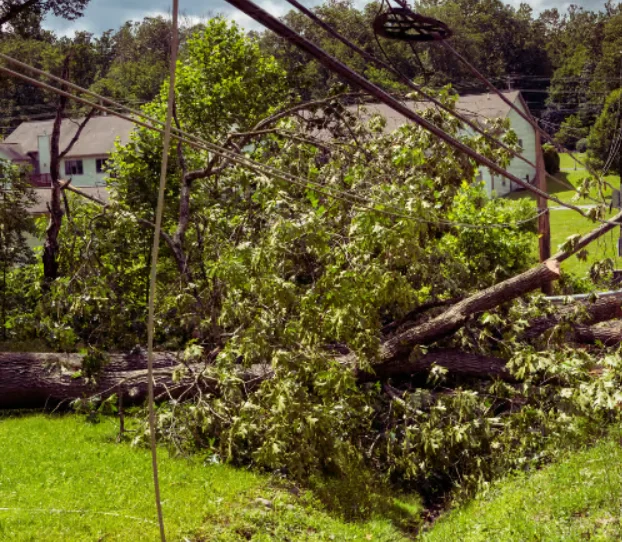 Storm Debris Removal Services